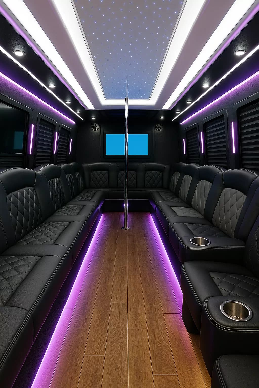 Representative 28 Passenger Party Bus cabin