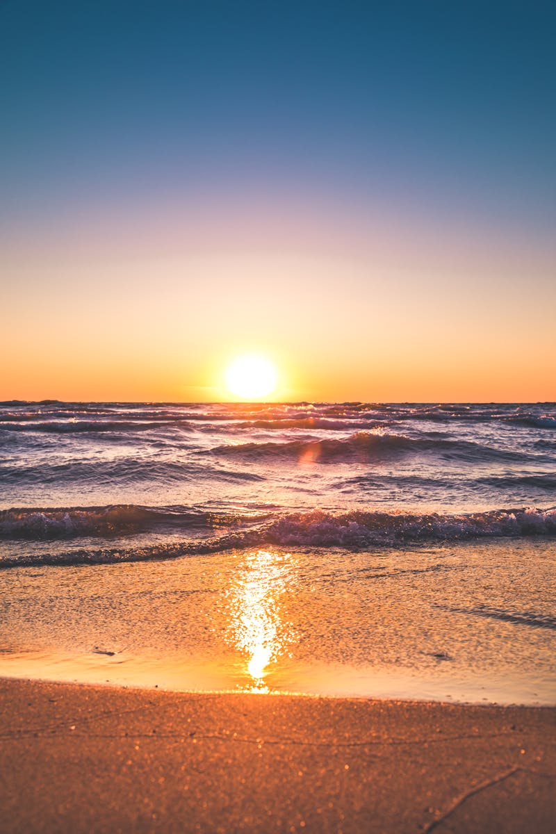 Galveston Beach Trips Houston planning photo 2