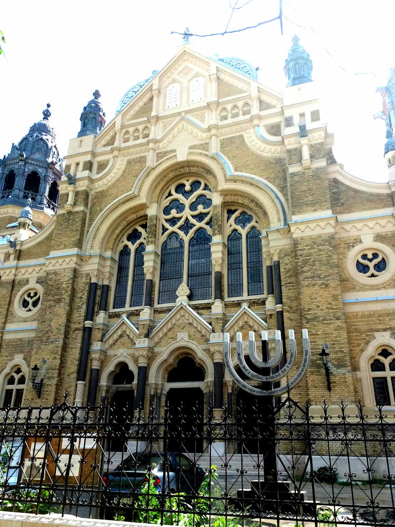 Houston Rodeo Houston - Photo 1